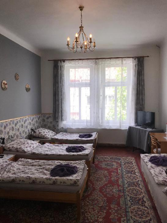 Penzion Rajf Krnov Esterno foto